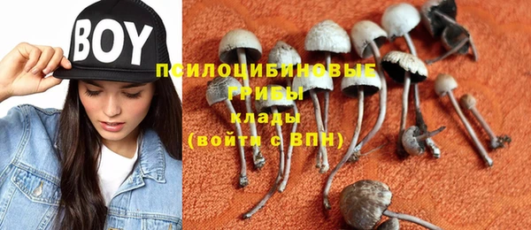 метамфетамин Аркадак