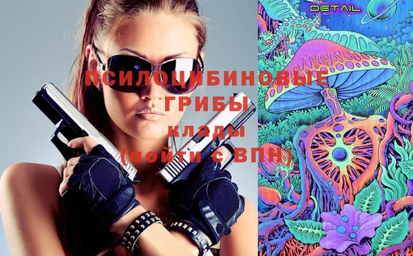 экстази Арсеньев