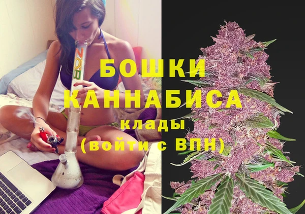 экстази Арсеньев